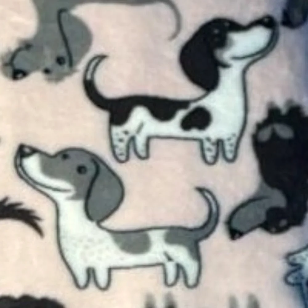BRAND NEW DACHSHUND / DOXIE / WEINER WEENIE DOG 60